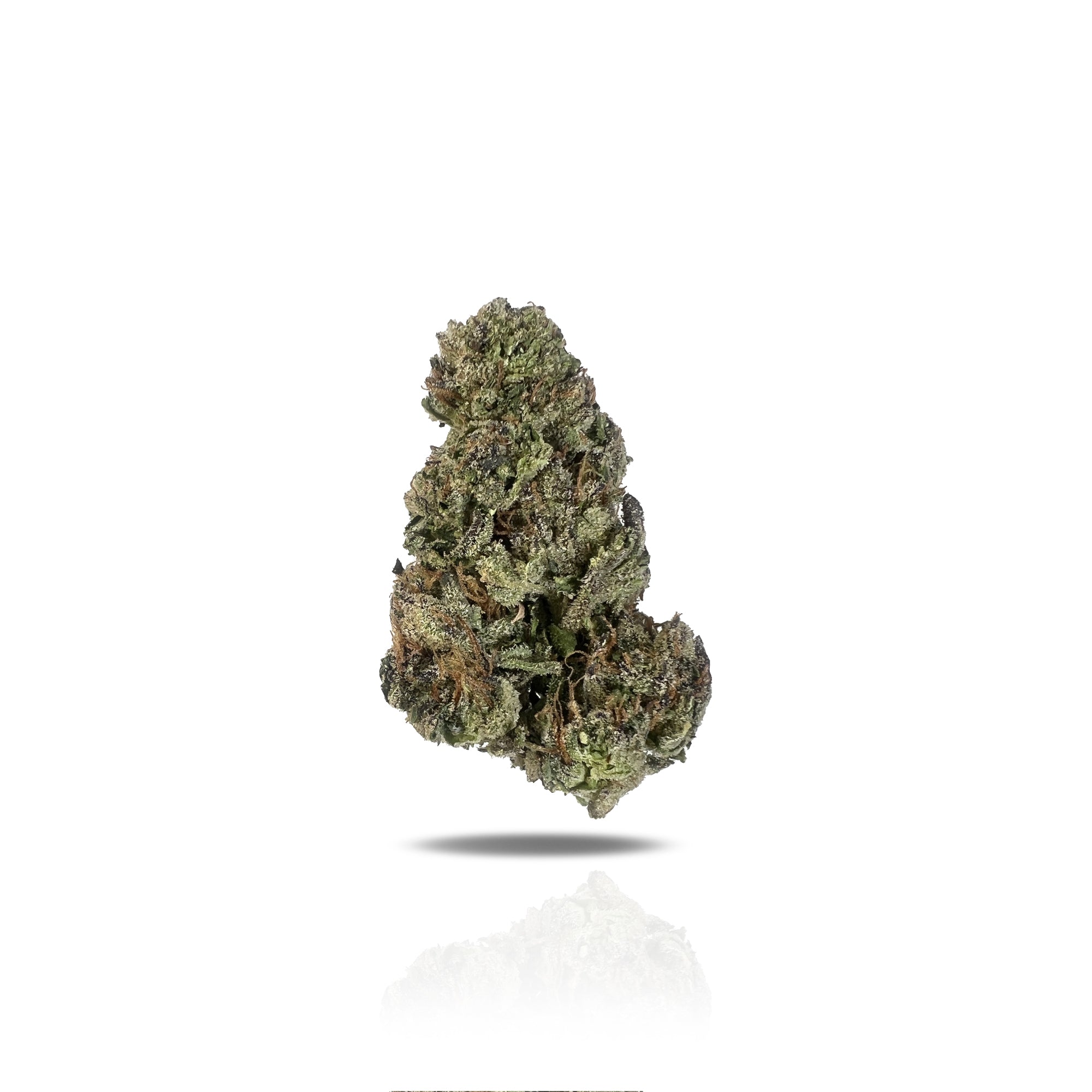 PUFFY Biscotti is an indica-dominant hybrid THCa strain born from the flavorful cross of Gelato #25 and South Florida OG. Known for its rich and complex profile, it offers a delicious blend of sugary cookies, roasted nuts, and warm spices, complemented by subtle undertones of diesel and earthiness. The aroma leans creamy and doughy with a refreshing hint of menthol. Visually, the buds are strikingly dense and resin-coated, with a deep olive-green base accented by rich purple hues. Consumers often report the